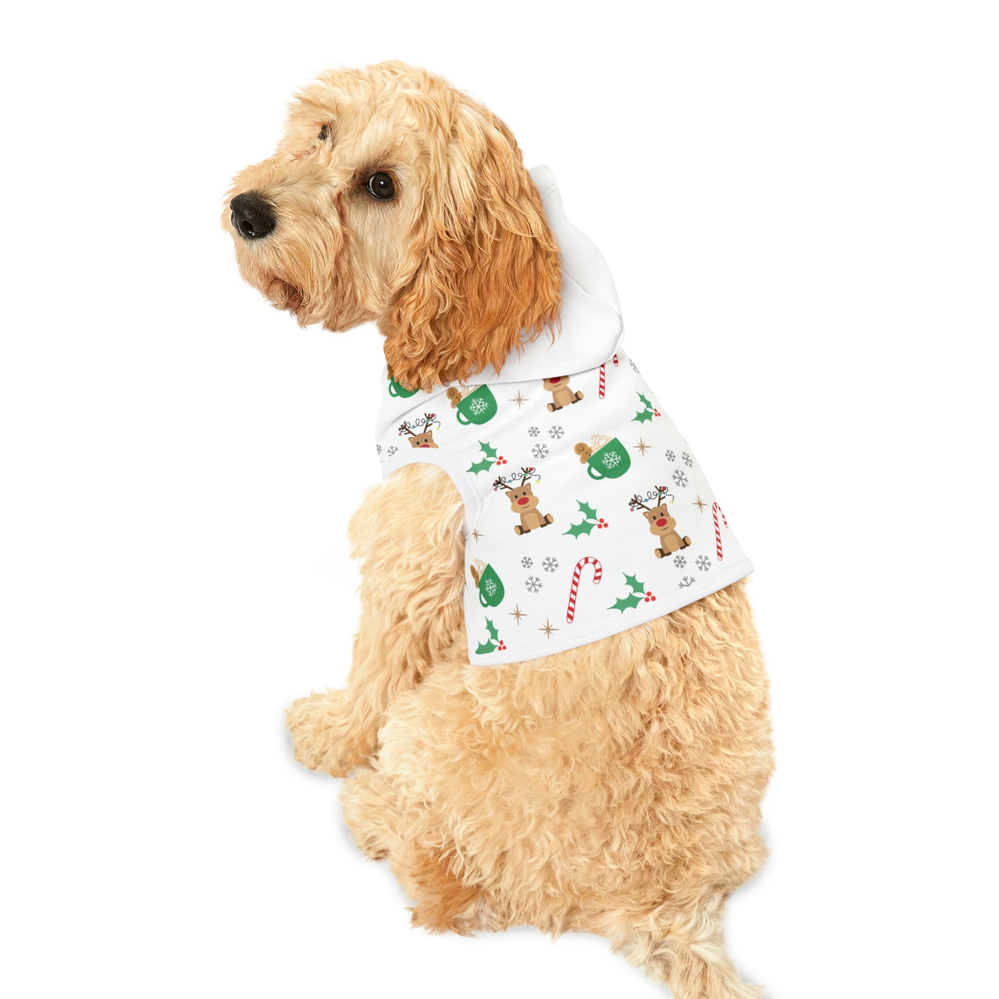 Christmas Cheer Pet Hoodie