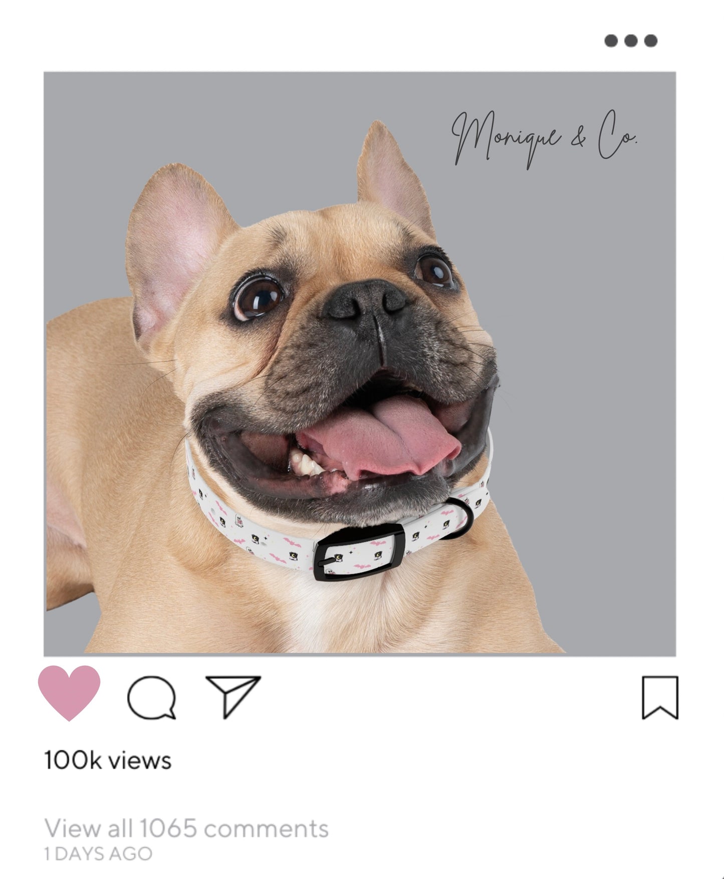 Personalized Pet Collection